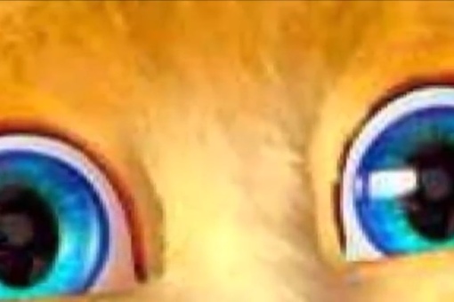 Анджела маньяк в глазах. Talking angela 2014. Talking angela маньяк. Маньяк в игре анджела. Talking angela 2011.