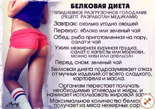 Голод На Белковой Диете.