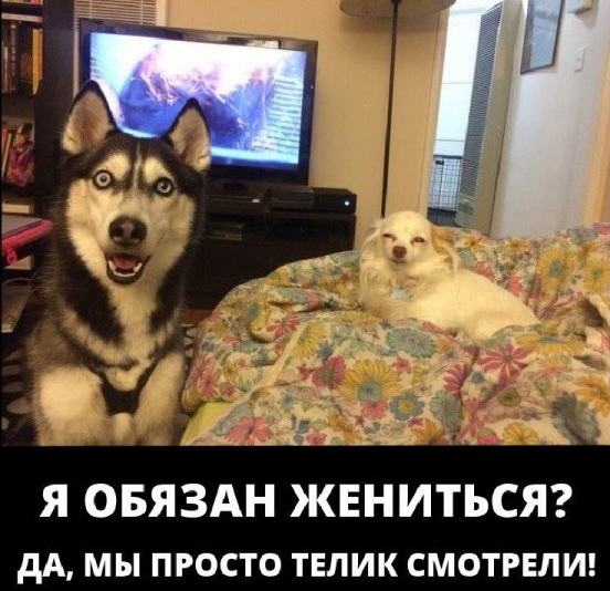 Жениться плохая примета. Он не женится да. Жениться юмор. Свадьба юмор. Плохая примета картинки.