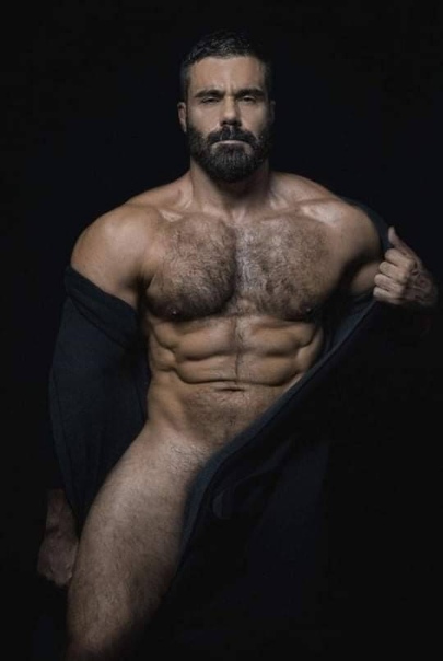 Gay bear quotes