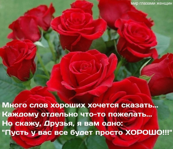 дарю счастье стихи. жизнь похожа на шведский стол. жизнь как шведский стол. иодня весит картинки у меня. демотиваторы свежие.
